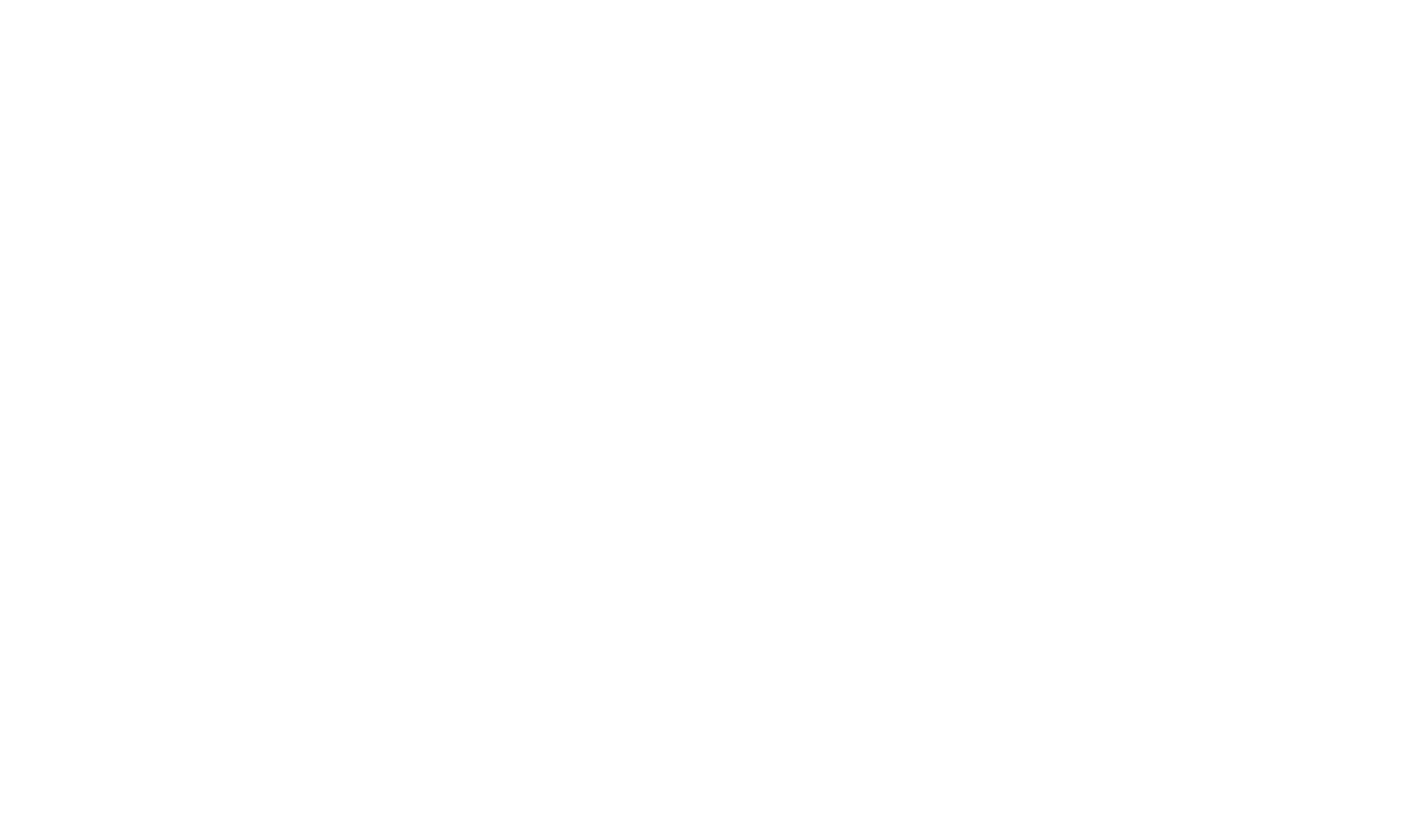 Silverback Tech Repairs